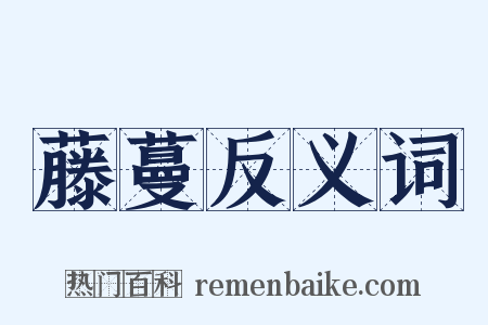 藤蔓反义词是什么意思的图片